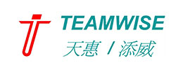 TEAMWISE